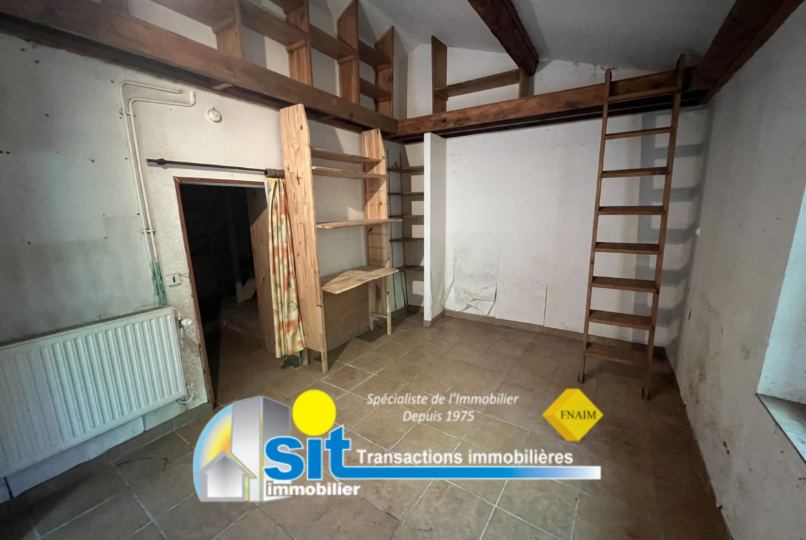 À vendre : Maison de village à Jardin, près de VIENNE (38200) 