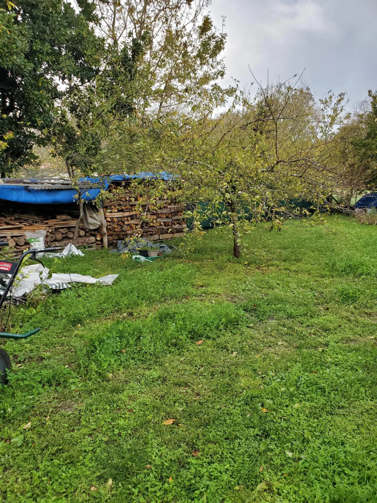 Charmante maison typique à Talmont avec jardin 