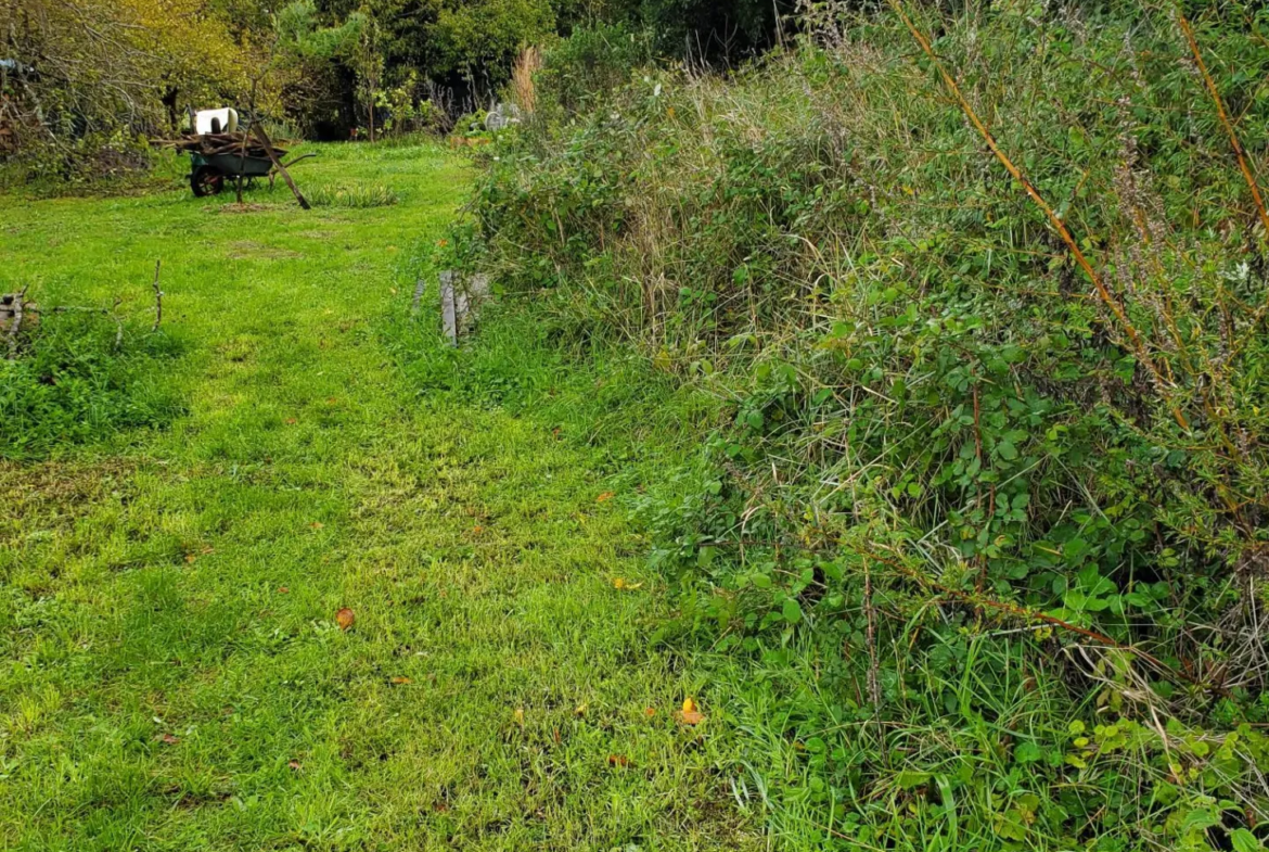 Charmante maison typique à Talmont avec jardin 