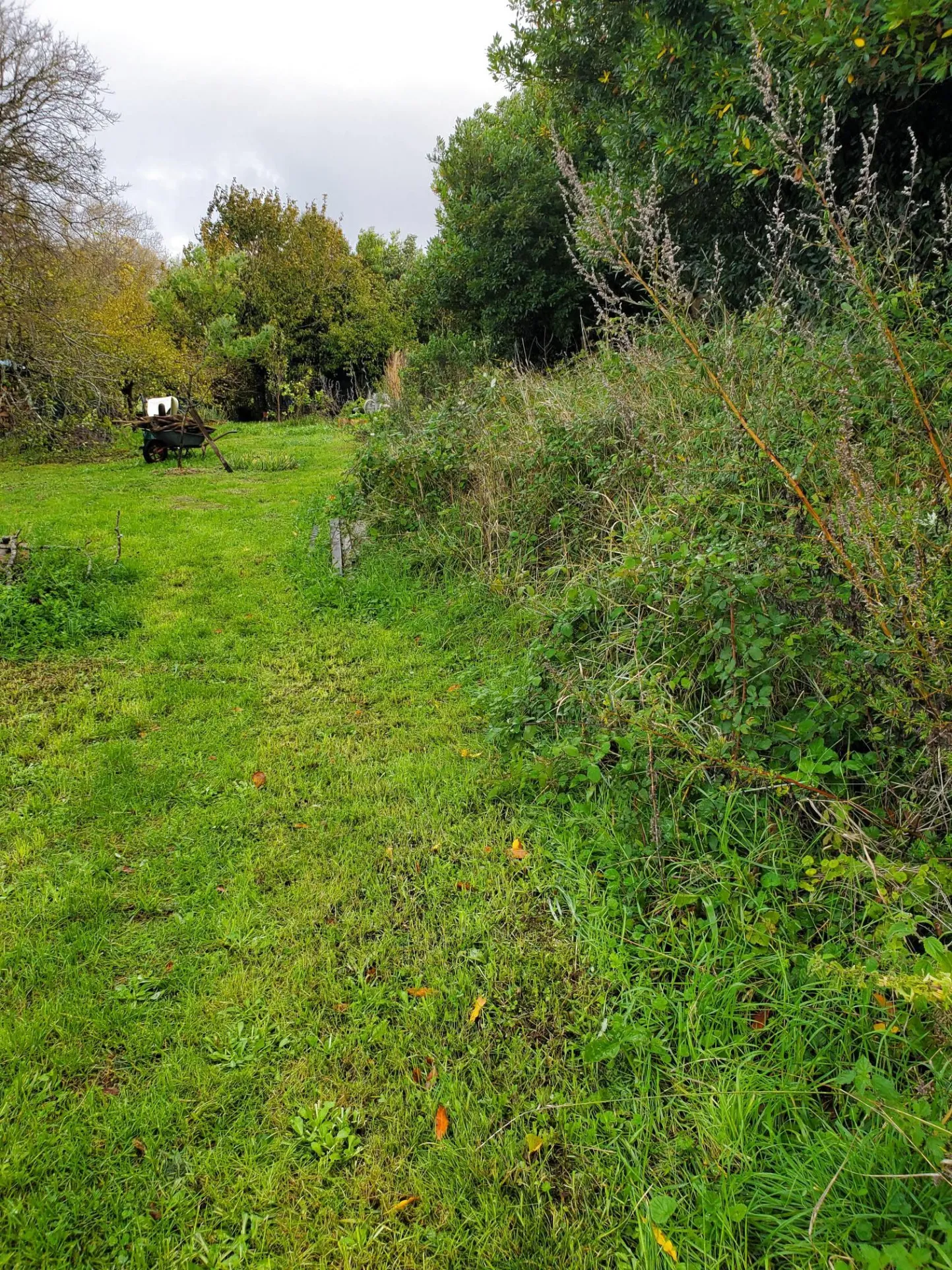 Charmante maison typique à Talmont avec jardin 