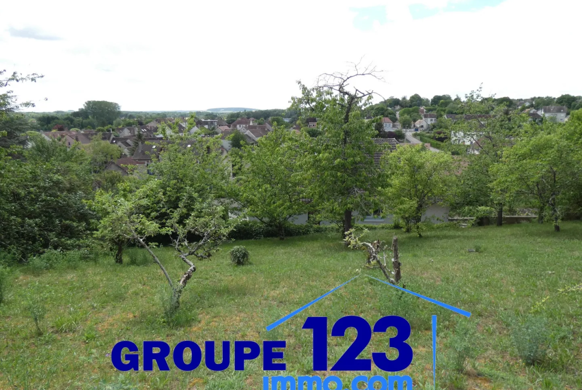 Ensemble immobilier avec 3 appartements et potentiel à Laroche St Cydroine 