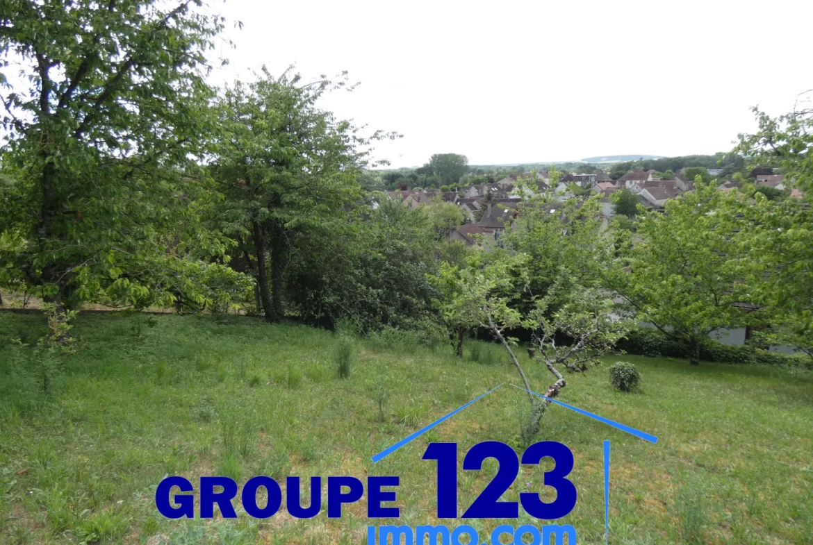 Ensemble immobilier avec 3 appartements et potentiel à Laroche St Cydroine 