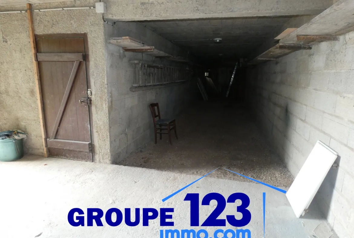 Ensemble immobilier avec 3 appartements et potentiel à Laroche St Cydroine 