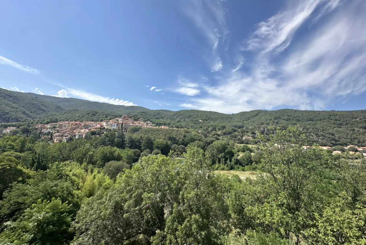 À vendre : Appartement F2 bis à Amelie les Bains Palalda - Vue sur Palalda 