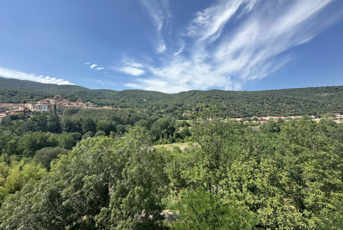 À vendre : Appartement F2 bis à Amelie les Bains Palalda - Vue sur Palalda 