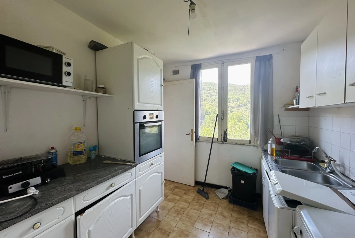 À vendre : Appartement F2 bis à Amelie les Bains Palalda - Vue sur Palalda 