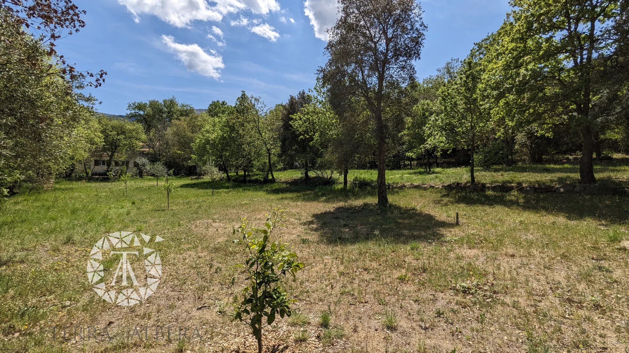 Grand terrain constructible à Laroque des Albères avec vue 