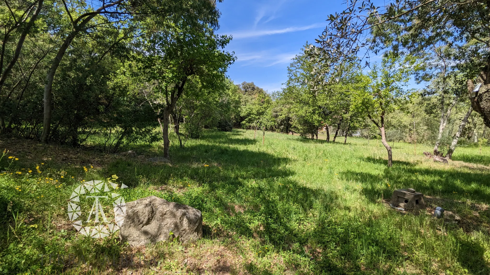 Grand terrain constructible à Laroque des Albères avec vue 