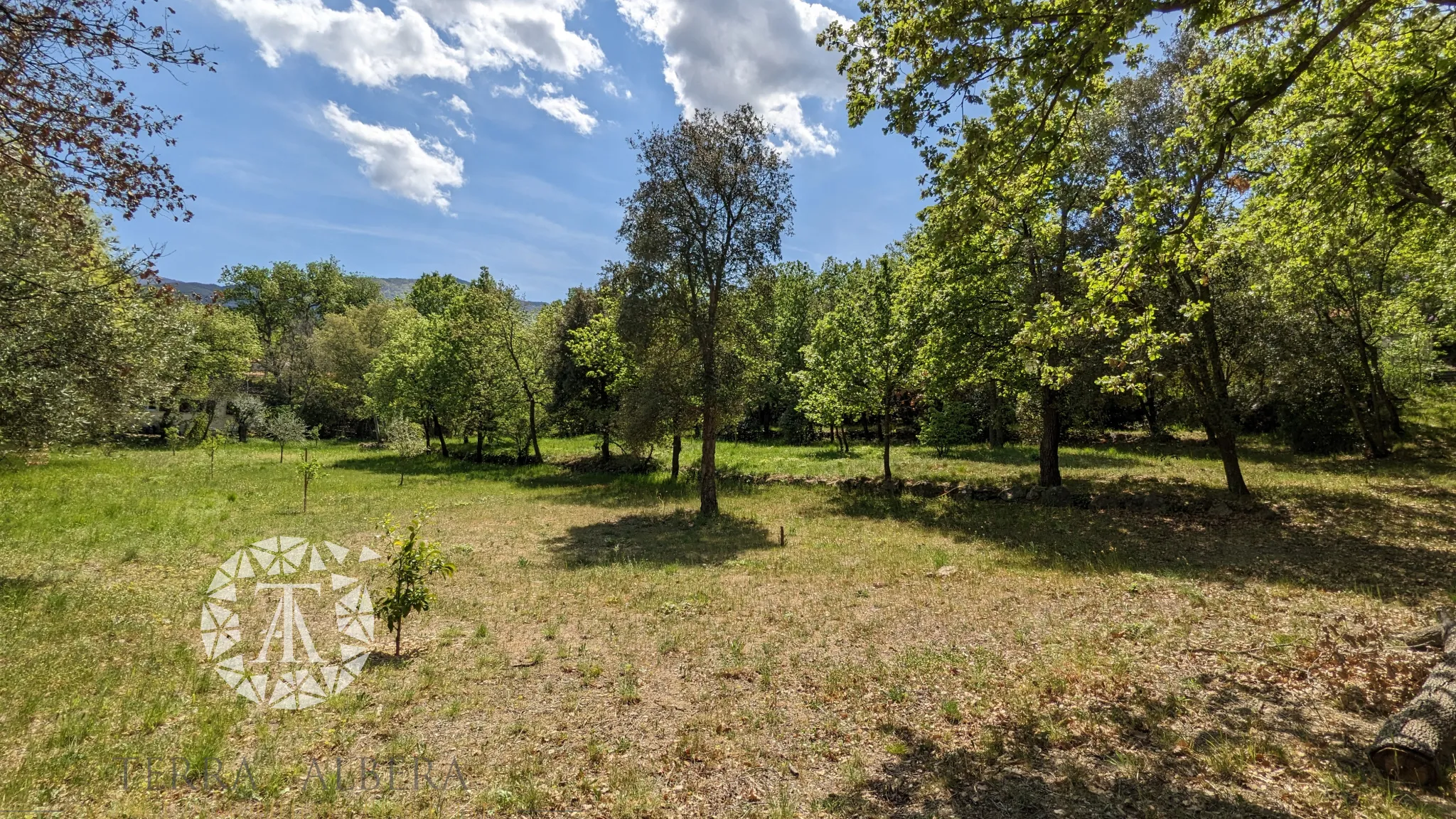 Grand terrain constructible à Laroque des Albères avec vue 