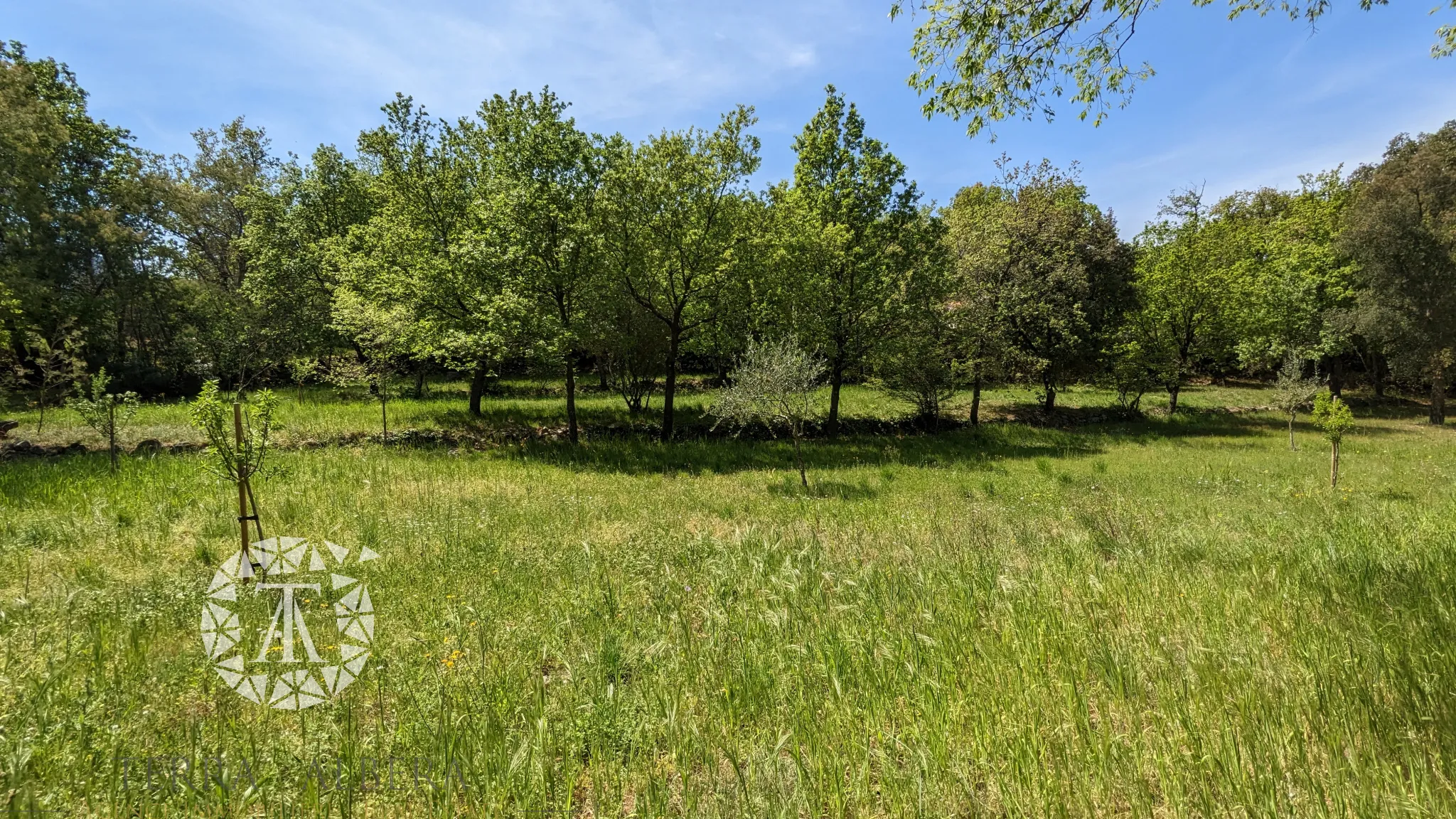 Grand terrain constructible à Laroque des Albères avec vue 