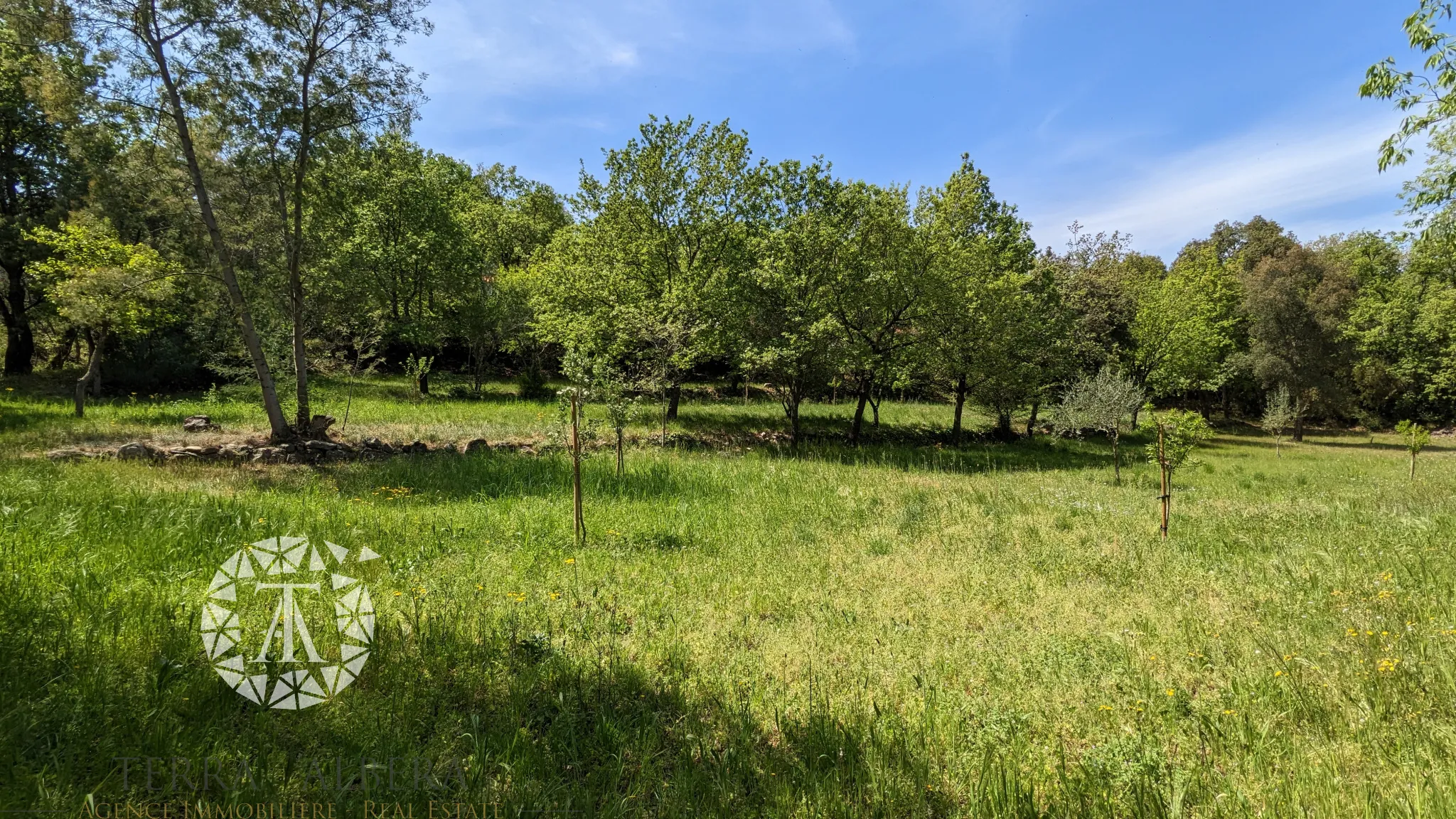 Grand terrain constructible à Laroque des Albères avec vue 