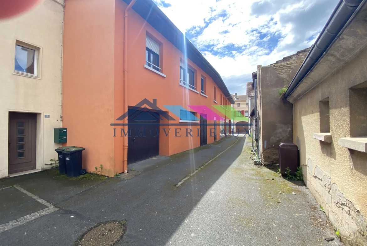 Vente de Local Commercial à Dieuze - 390 m² 