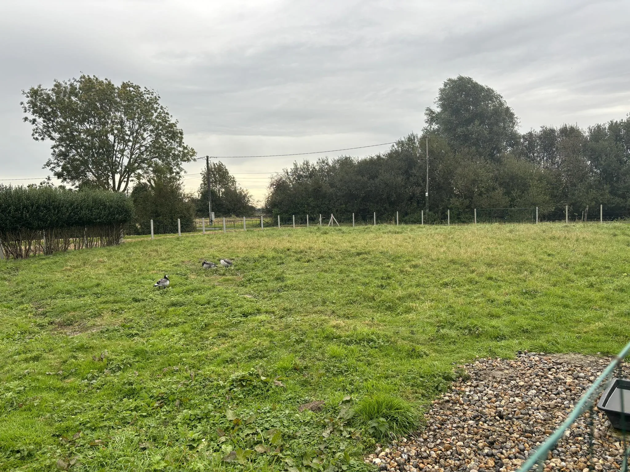 Terrain constructible à vendre proche de la Baie de Somme 