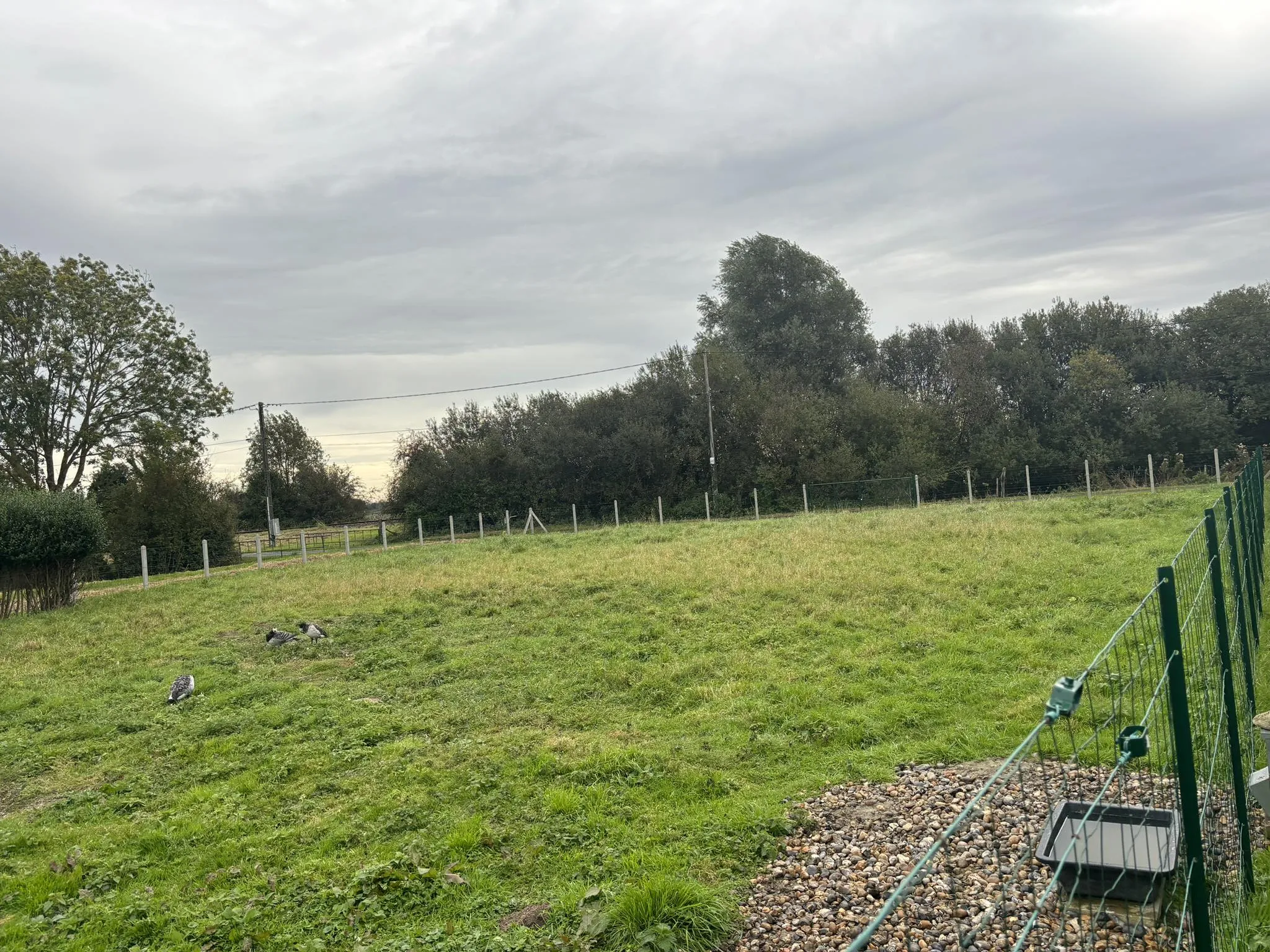 Terrain constructible à vendre proche de la Baie de Somme 