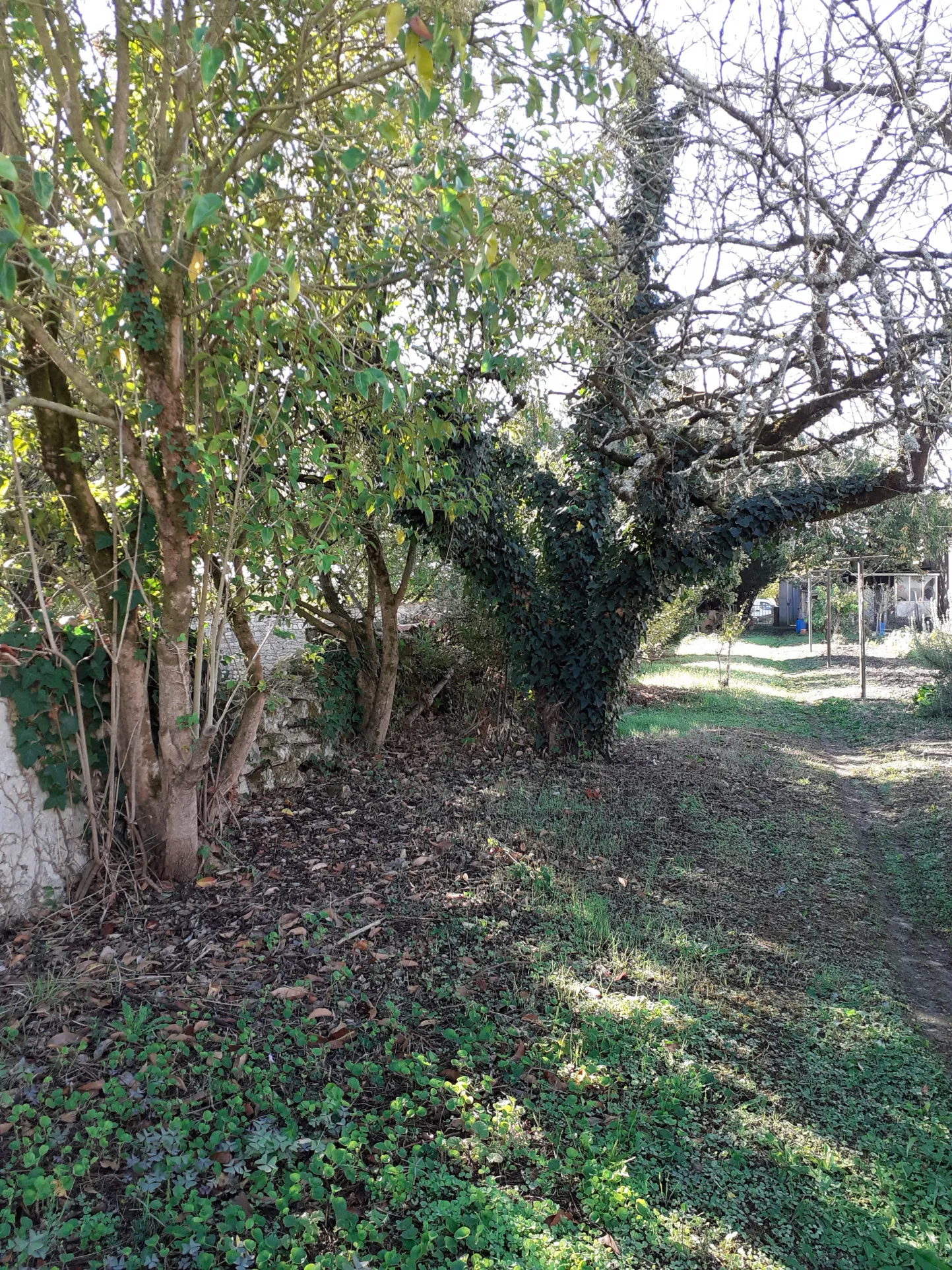 À vendre : Maison ancienne à rénover à Loulay 