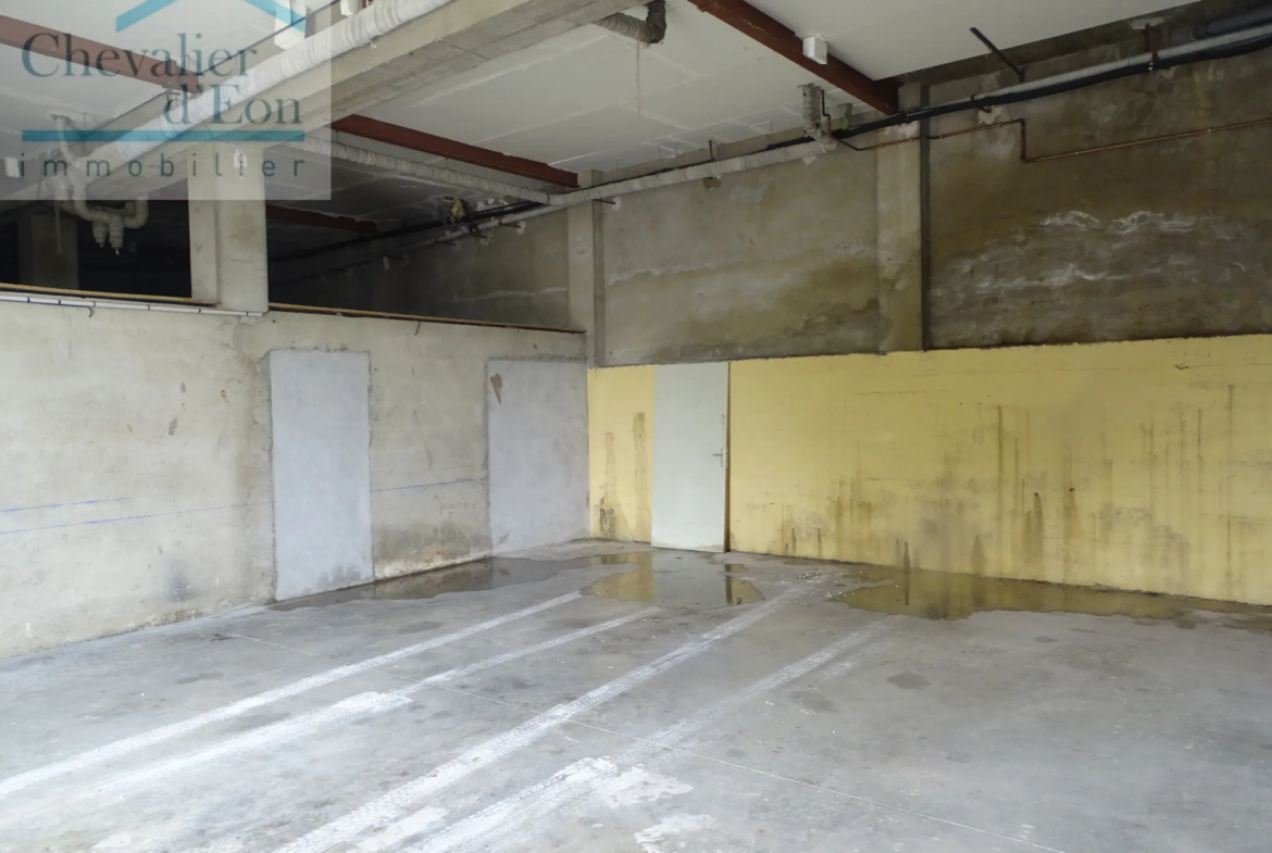 Appartement T4 de 180m2 avec local de 200m2 à Tonnerre 