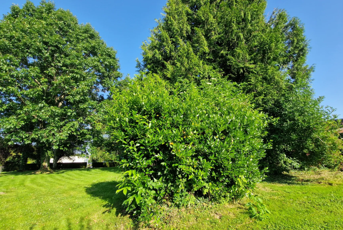 Longère à vendre à Arnac Pompadour - Parc de 3000 m² et 5 chambres 