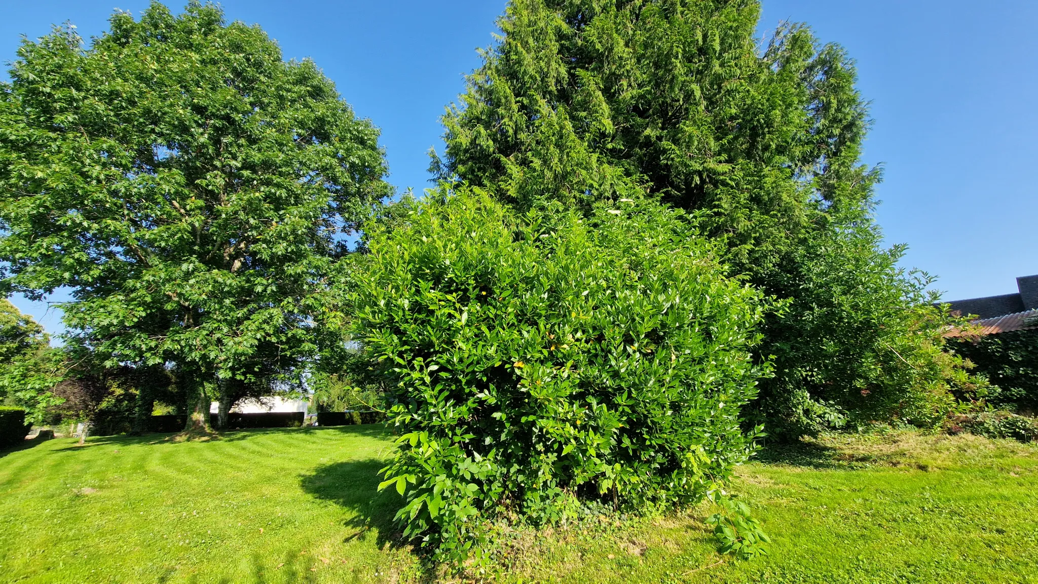 Longère à vendre à Arnac Pompadour - Parc de 3000 m² et 5 chambres 