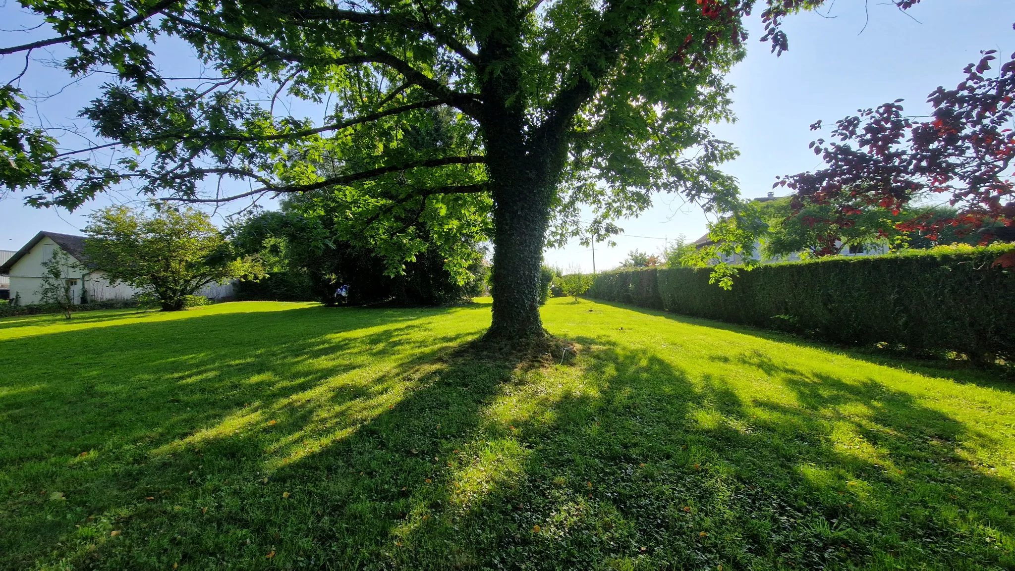 Longère à vendre à Arnac Pompadour - Parc de 3000 m² et 5 chambres 