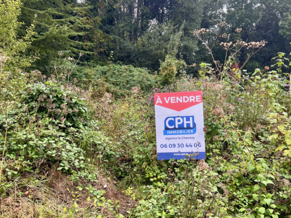 Terrain constructible à Hardricourt - Vue sur les forêts de Vexin