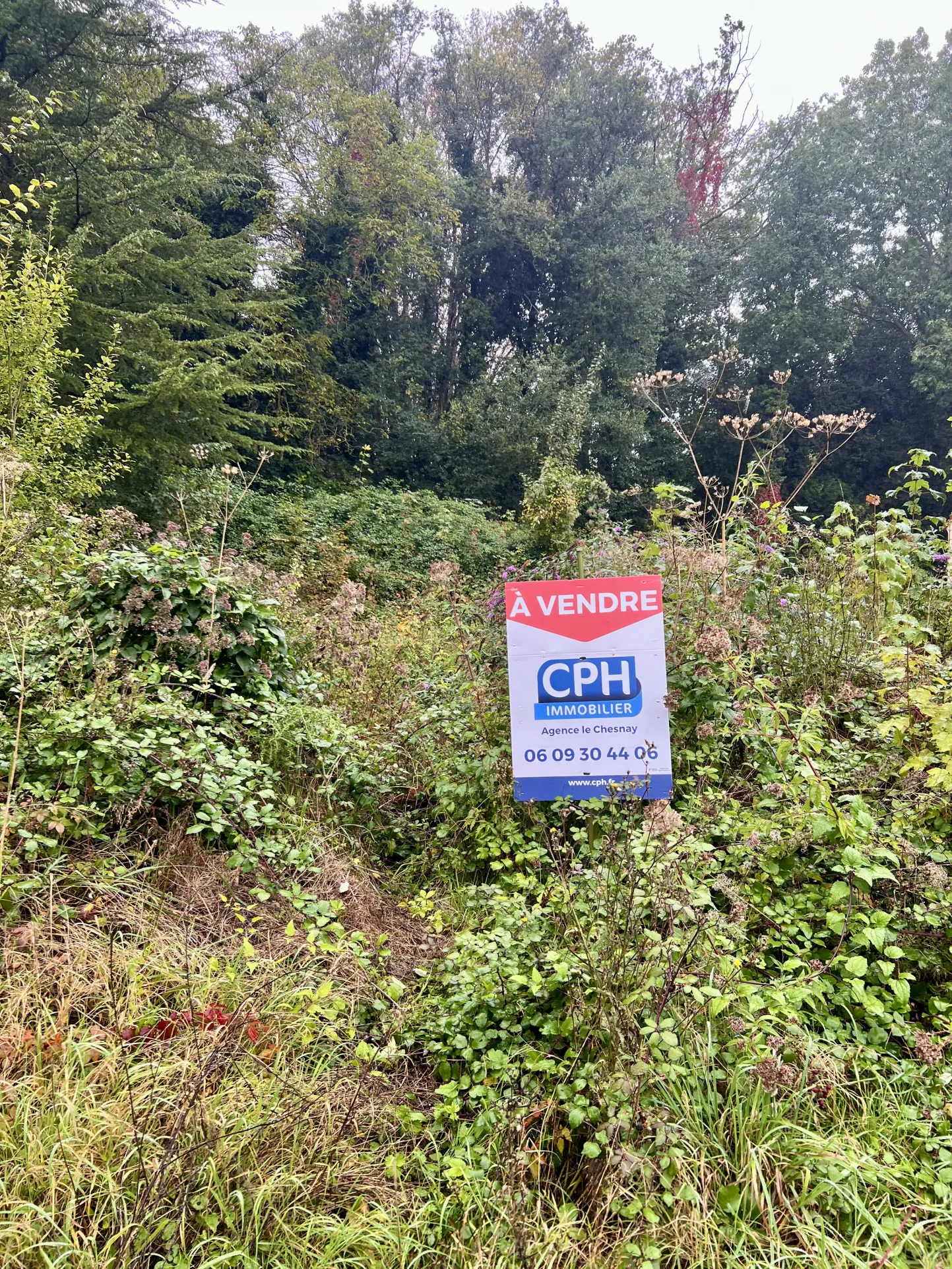 Terrain constructible à Hardricourt - Vue sur forêts du Vexin 