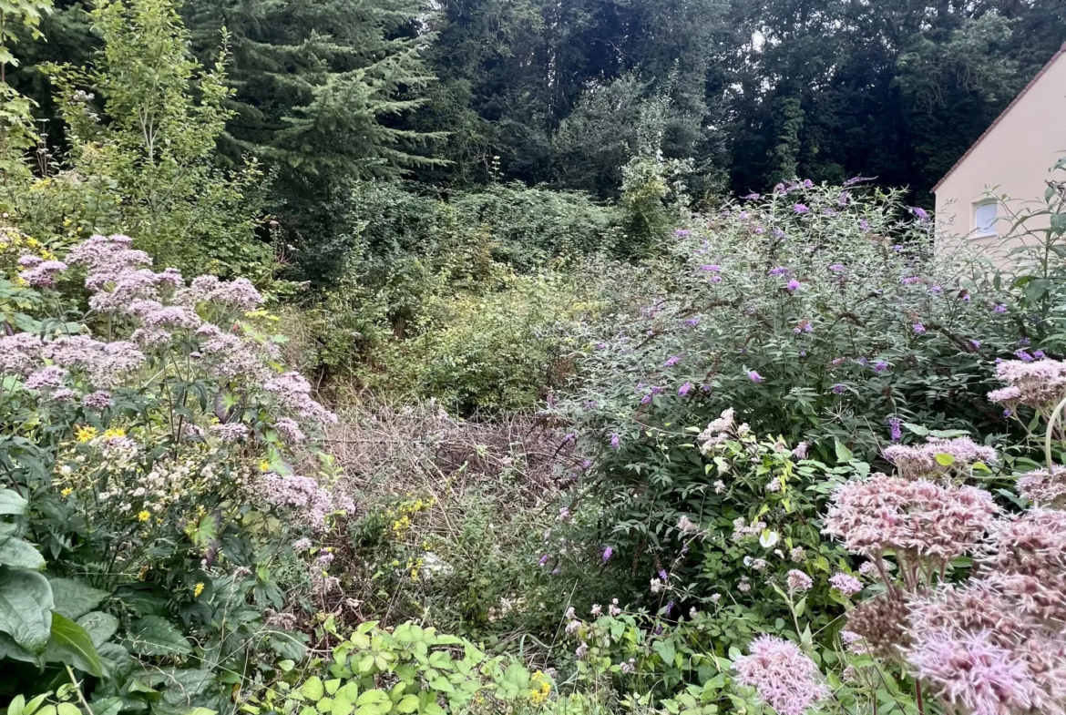 Terrain constructible à Hardricourt - Vue sur forêts du Vexin 