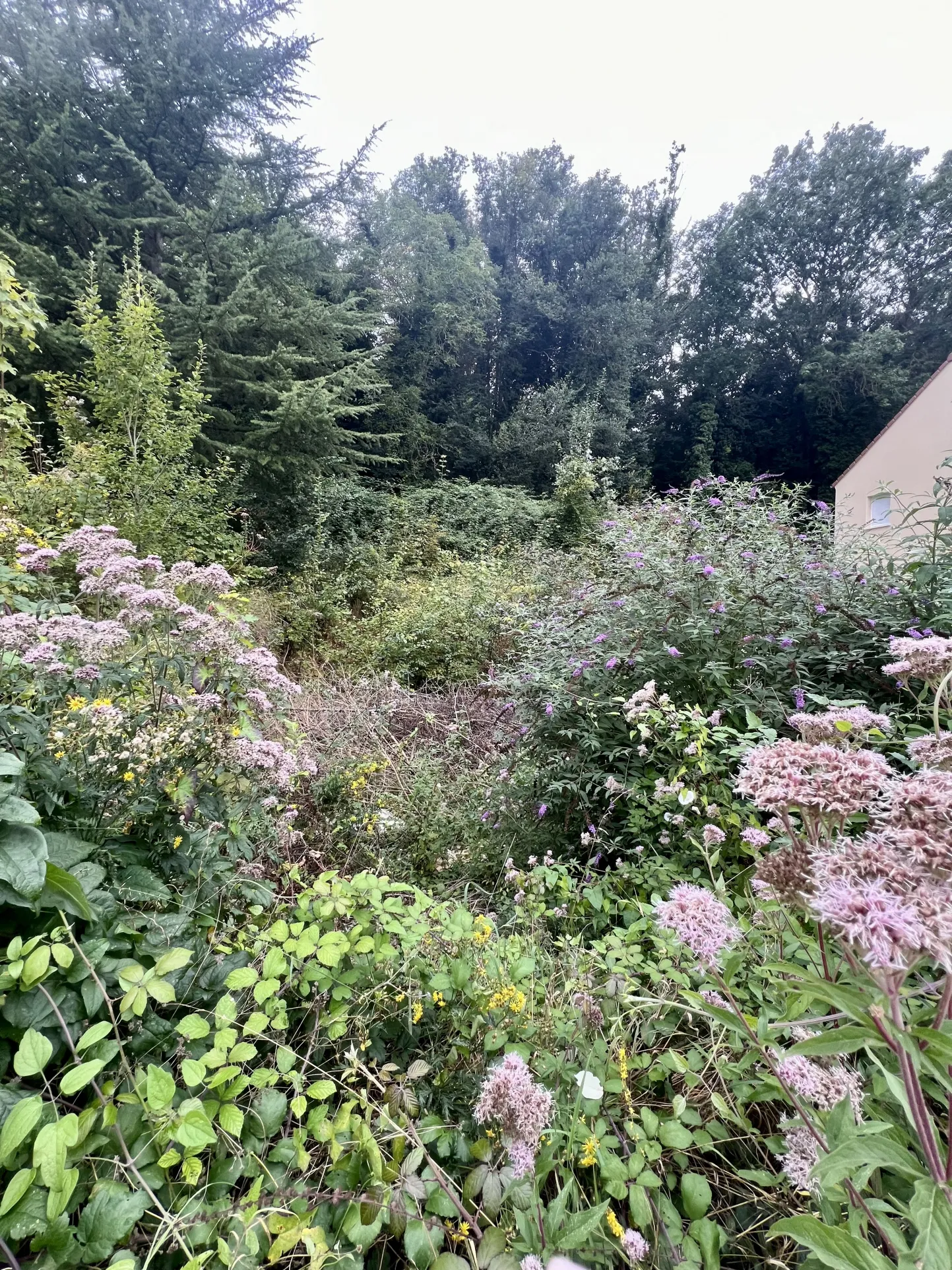 Terrain constructible à Hardricourt - Vue sur forêts du Vexin 