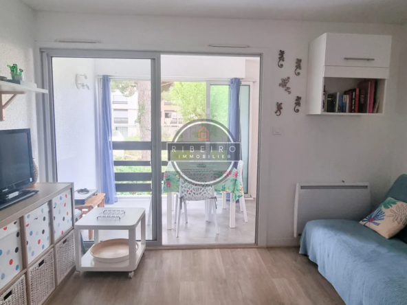 Appartement T2 rénové à vendre au Grau d'Agde