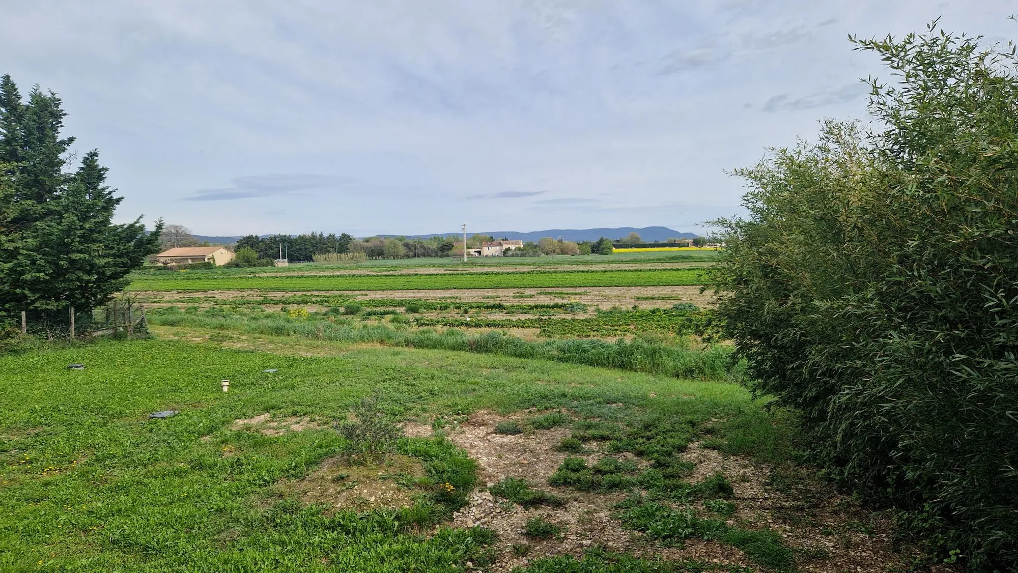 Maison en pierres à vendre à Pierrelatte avec piscine et dépendances 