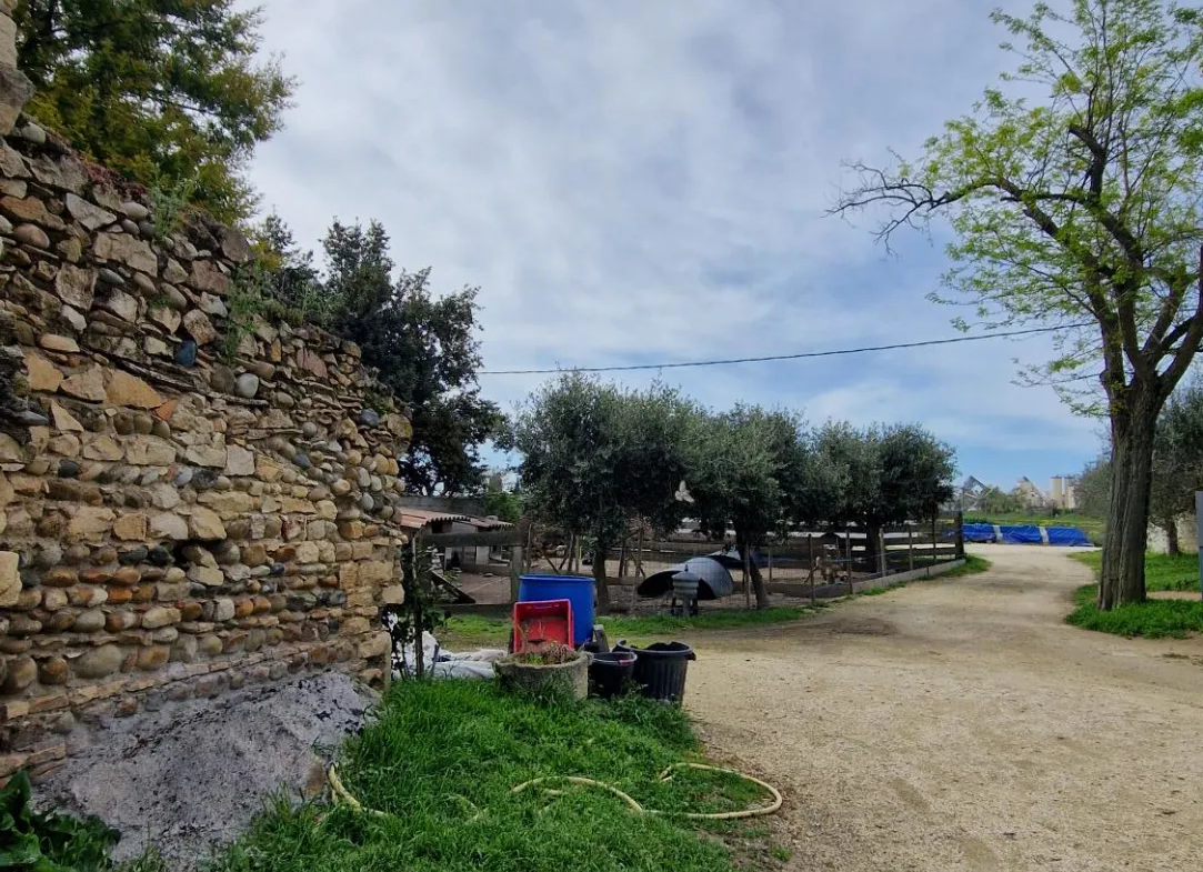 Maison en pierres à vendre à Pierrelatte avec piscine et dépendances 