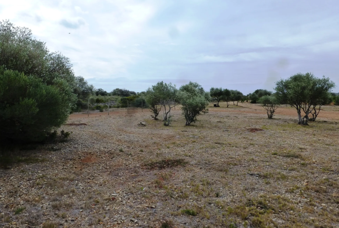 Terrain de Loisirs de 4480 m² à Fitou avec Mobilhome 