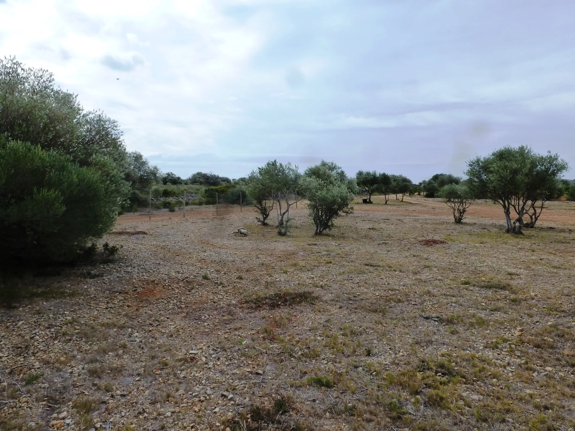 Terrain de Loisirs de 4480 m² à Fitou avec Mobilhome 