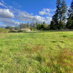 Magnifique terrain de 1015 m² à Roiffieux, viabilités en bordure