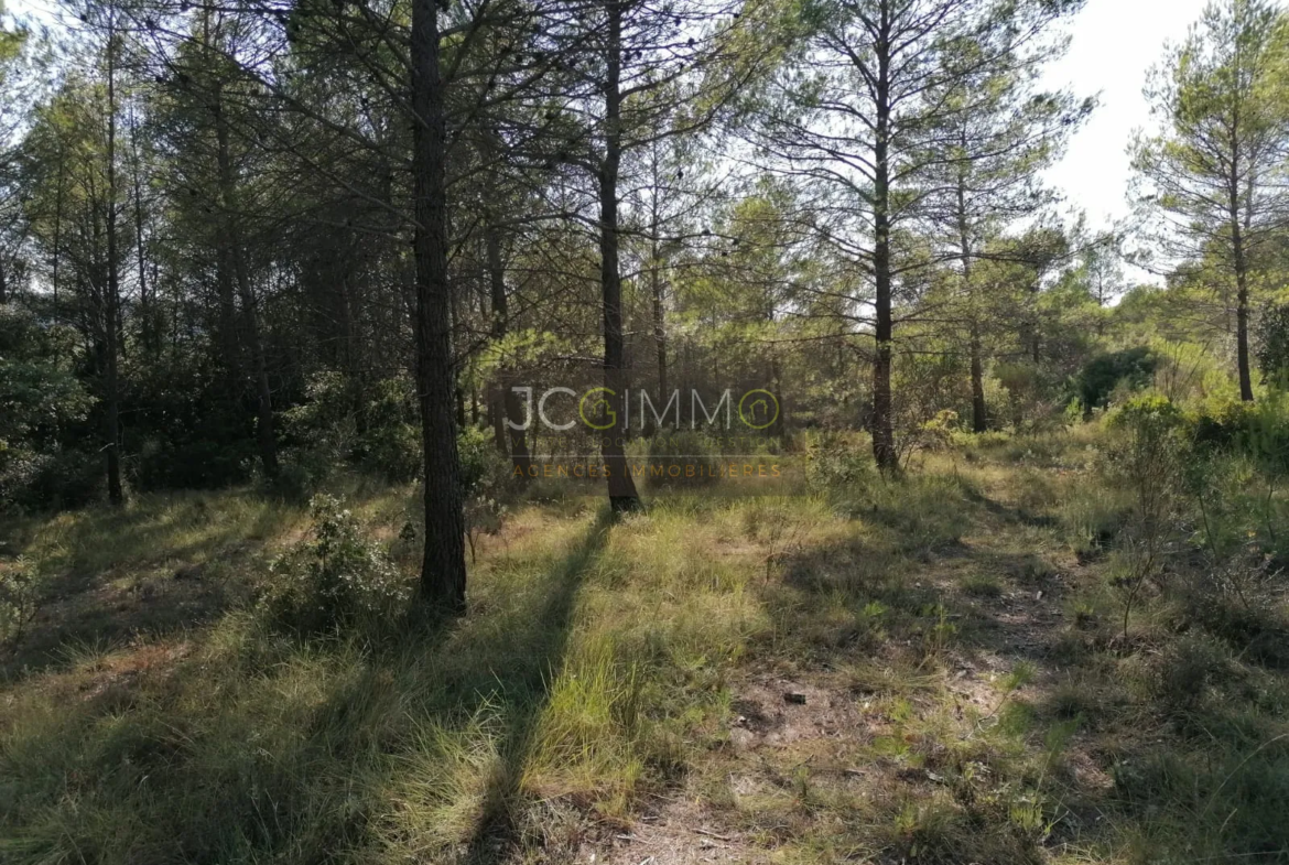 Terrain en zone naturelle de 2400 m² à Sainte-Anastasie-sur-Issole 