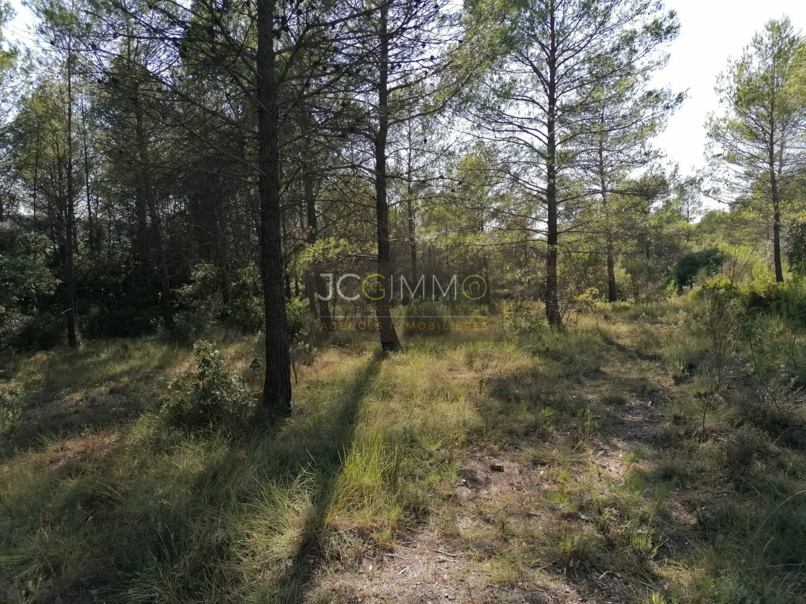 Terrain en zone naturelle de 2400 m² à Sainte-Anastasie-sur-Issole 