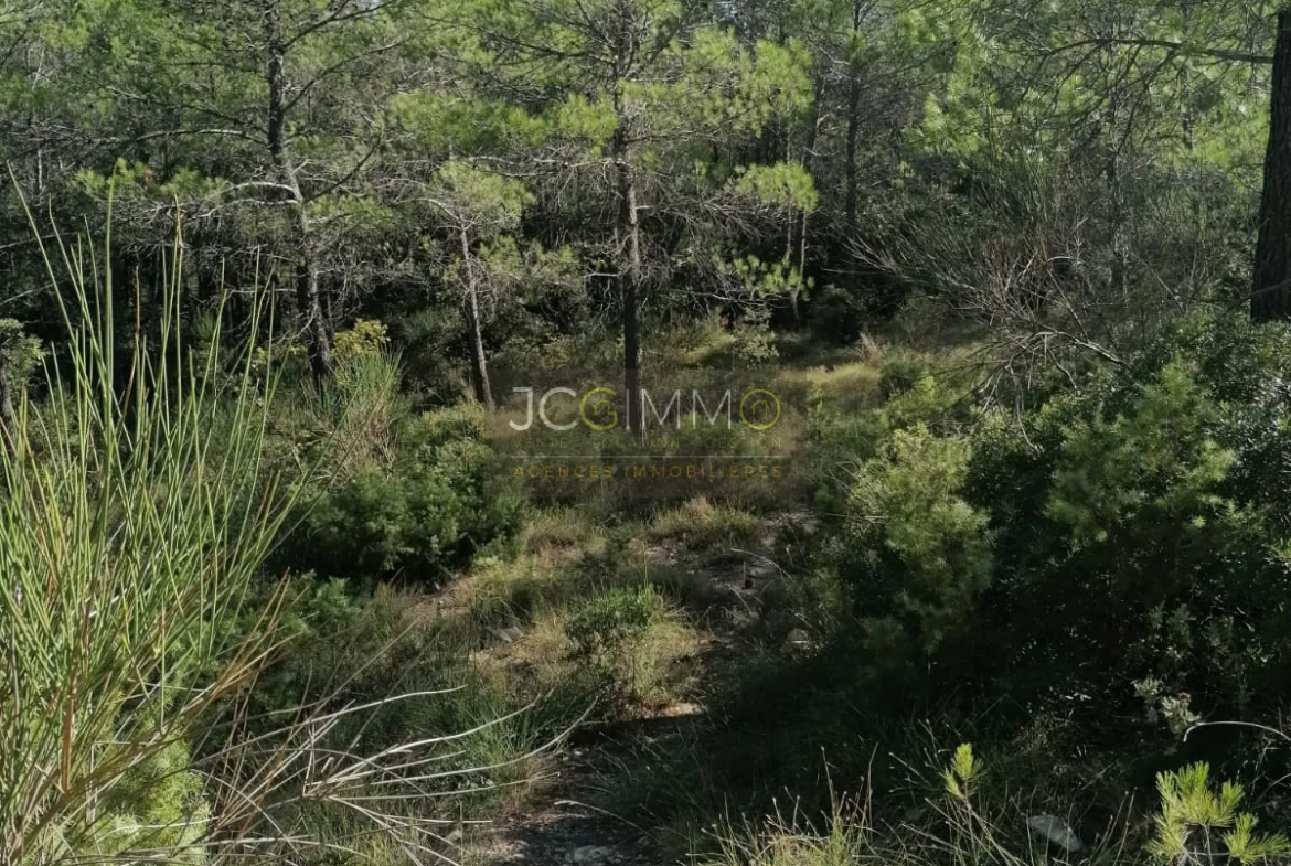 Terrain en zone naturelle de 2400 m² à Sainte-Anastasie-sur-Issole 