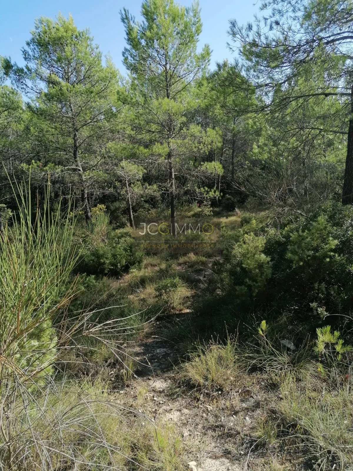 Terrain en zone naturelle de 2400 m² à Sainte-Anastasie-sur-Issole 