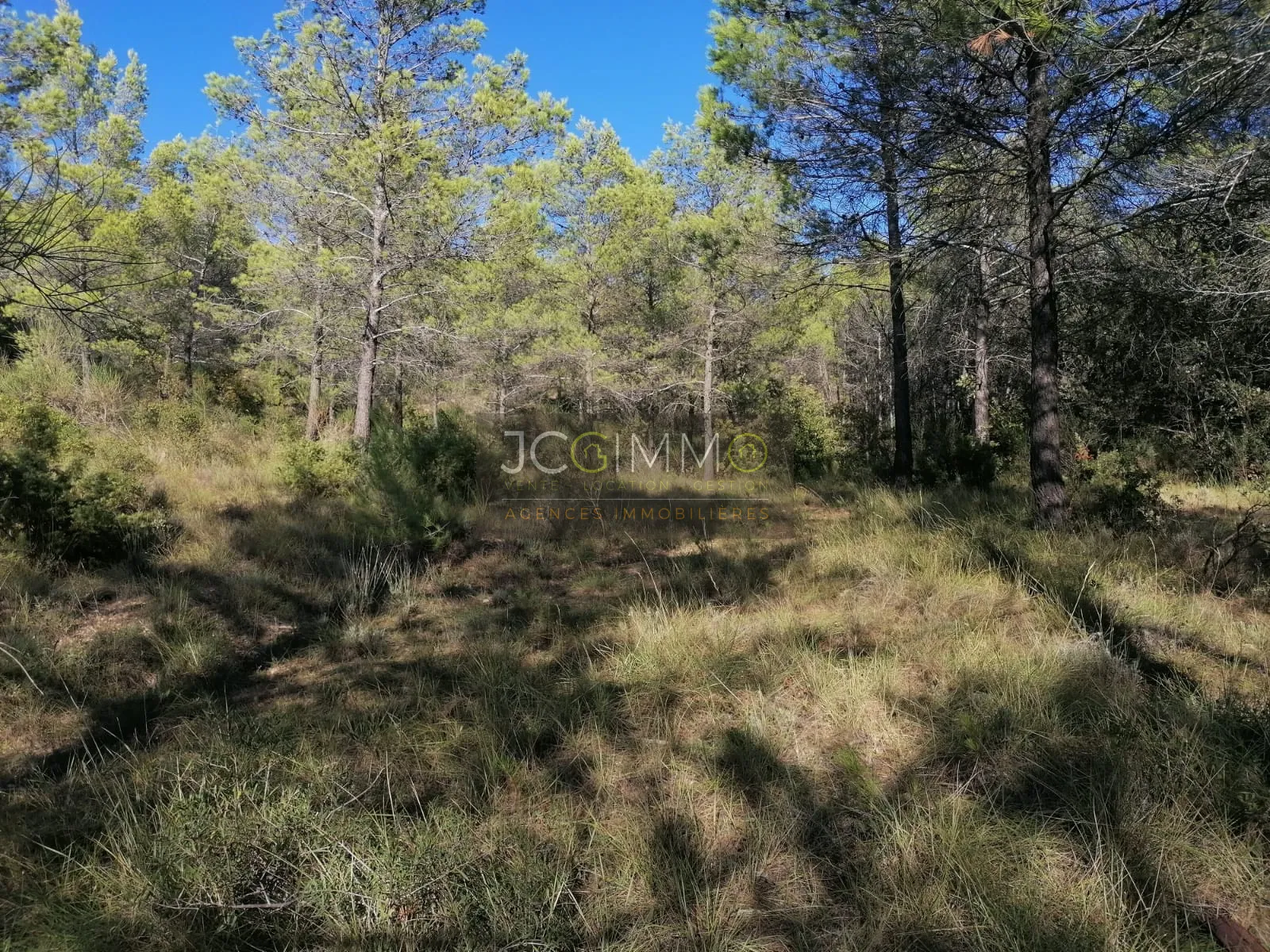 Terrain en zone naturelle de 2400 m² à Sainte-Anastasie-sur-Issole 