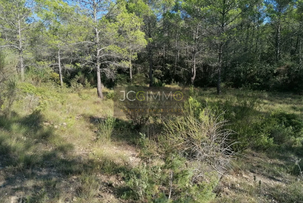 Terrain en zone naturelle de 2400 m² à Sainte-Anastasie-sur-Issole 