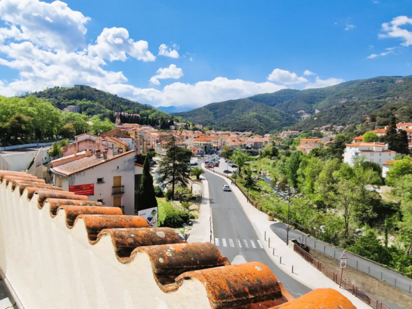 T1 à vendre à Amélie-les-Bains avec terrasse commune