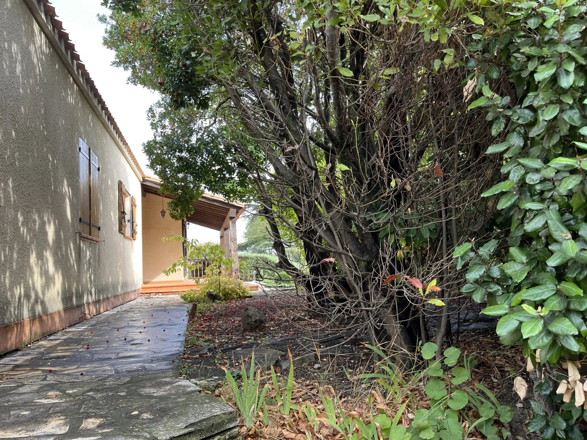 Grande villa de plain-pied avec jardin à Lézignan-Corbières 