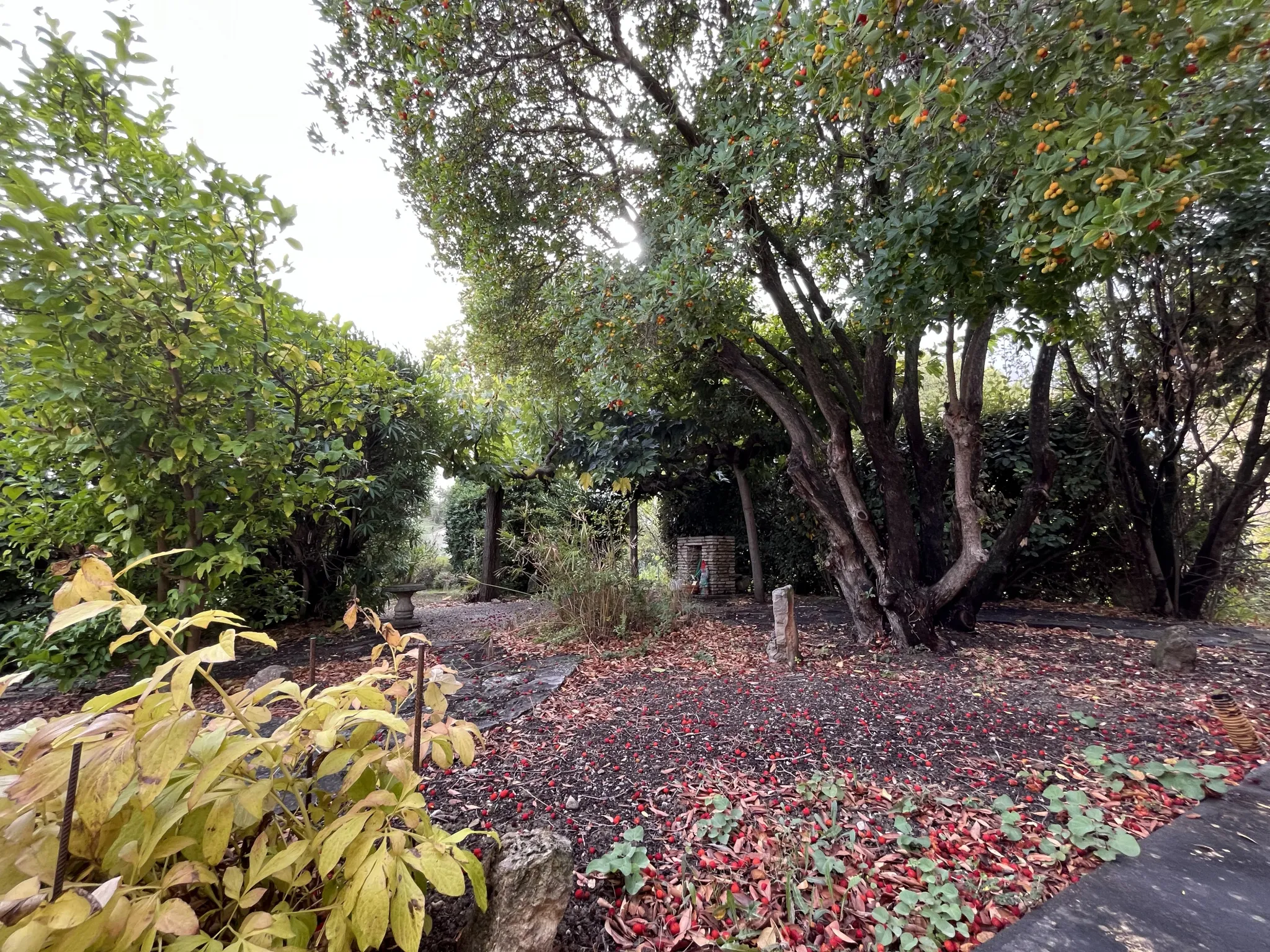 Grande villa de plain-pied avec jardin à Lézignan-Corbières 