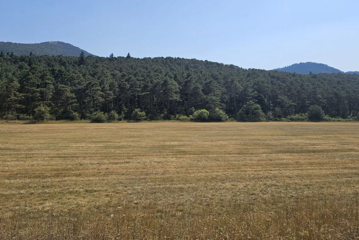 Séranon : parcelle de terre agricole à vendre 