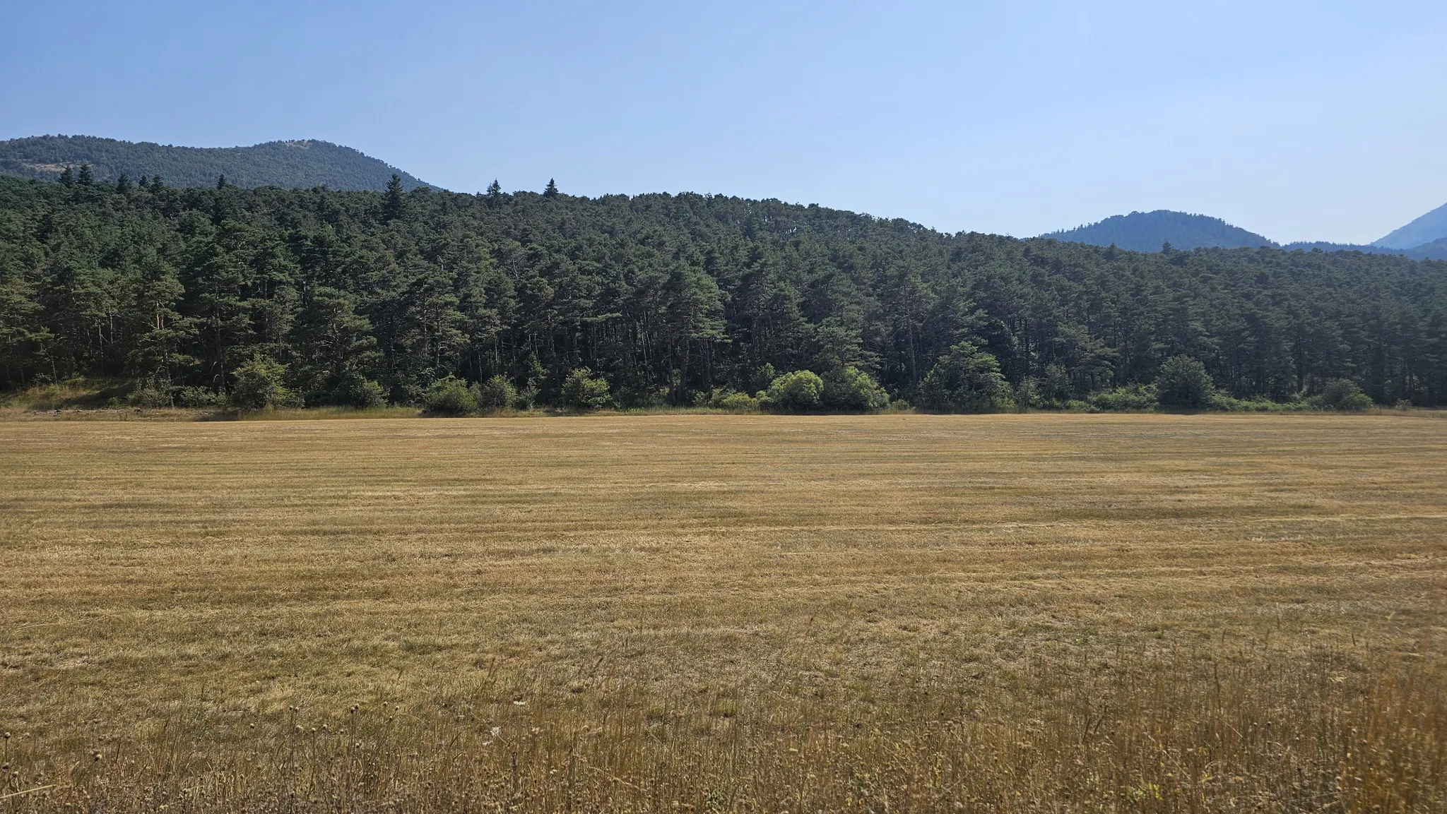 Séranon : parcelle de terre agricole à vendre 