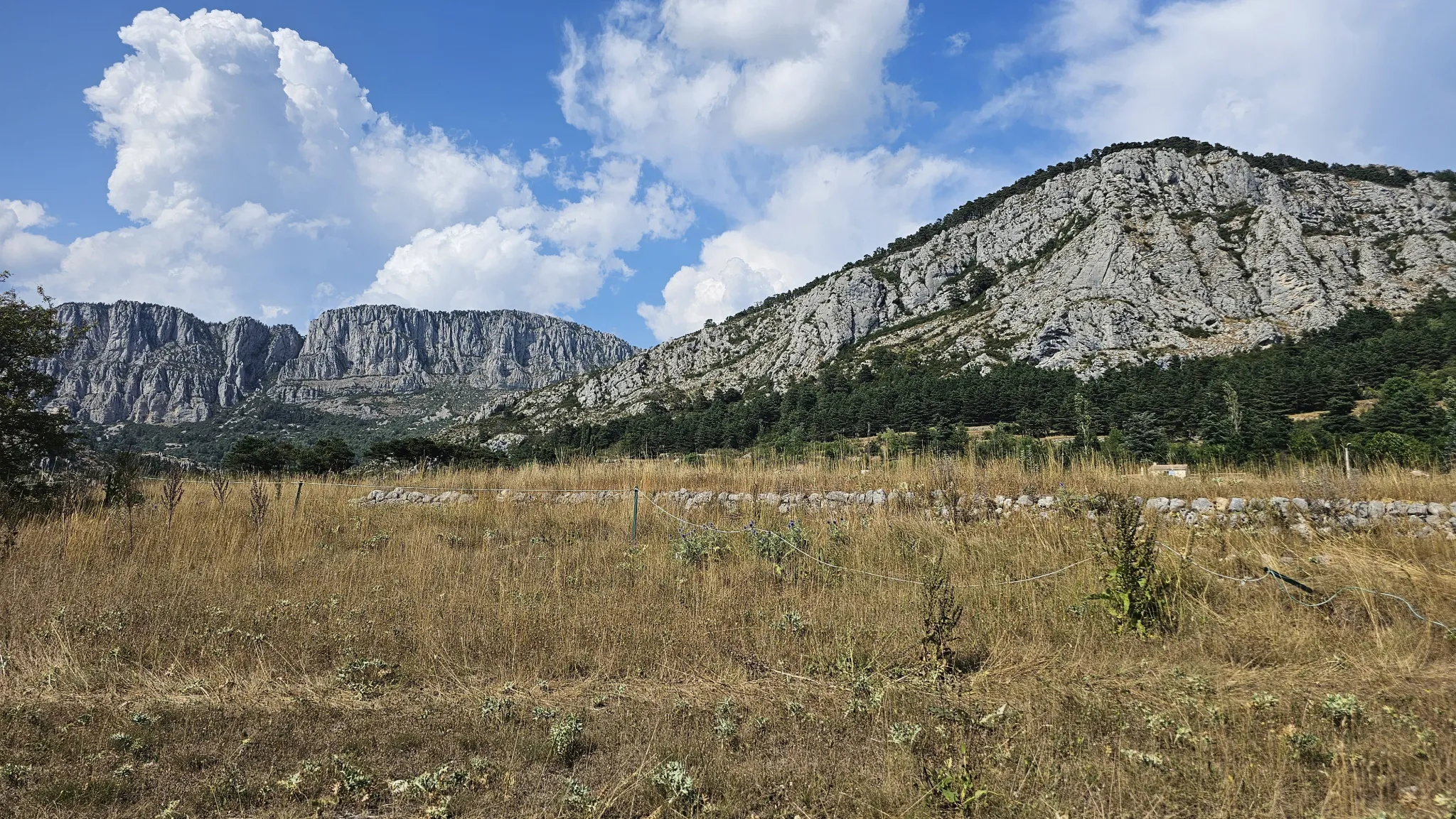 Séranon : parcelle de terre agricole à vendre 