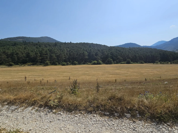 Séranon : parcelle de terre agricole à vendre