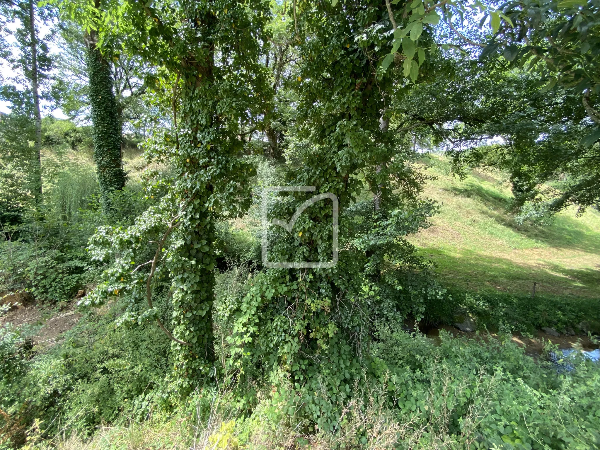 Très jolie maison en pierre à Terrou, état neuf 