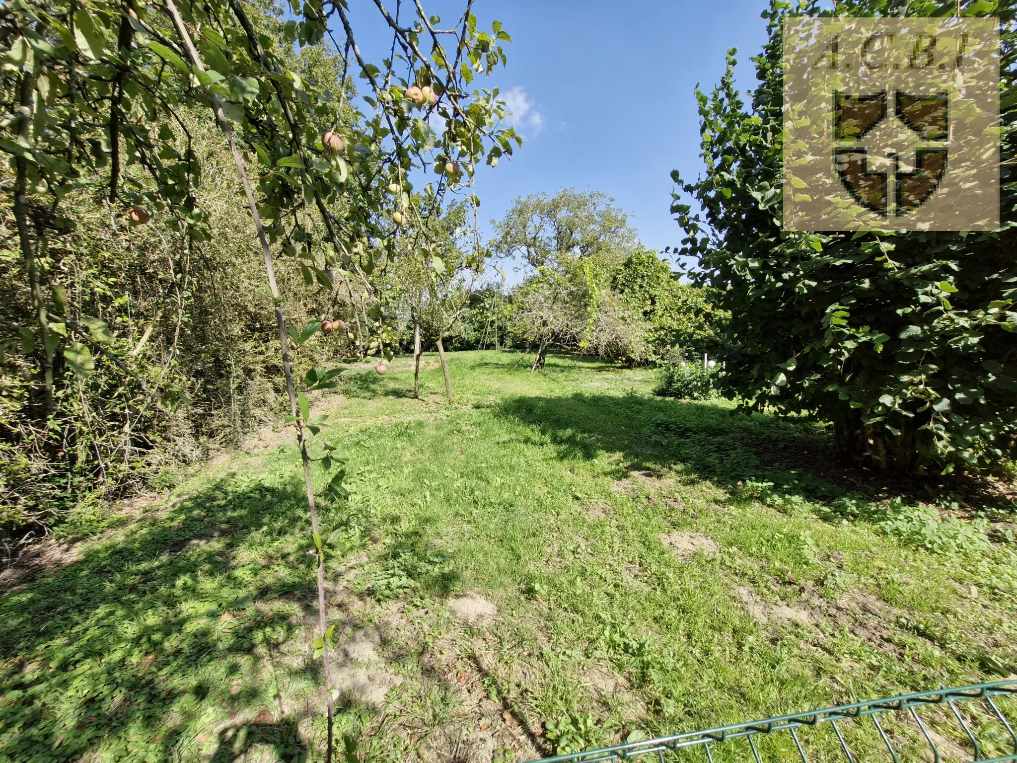 Maison avec dépendance à Vendôme - 3 chambres et terrain de 1800 m² 