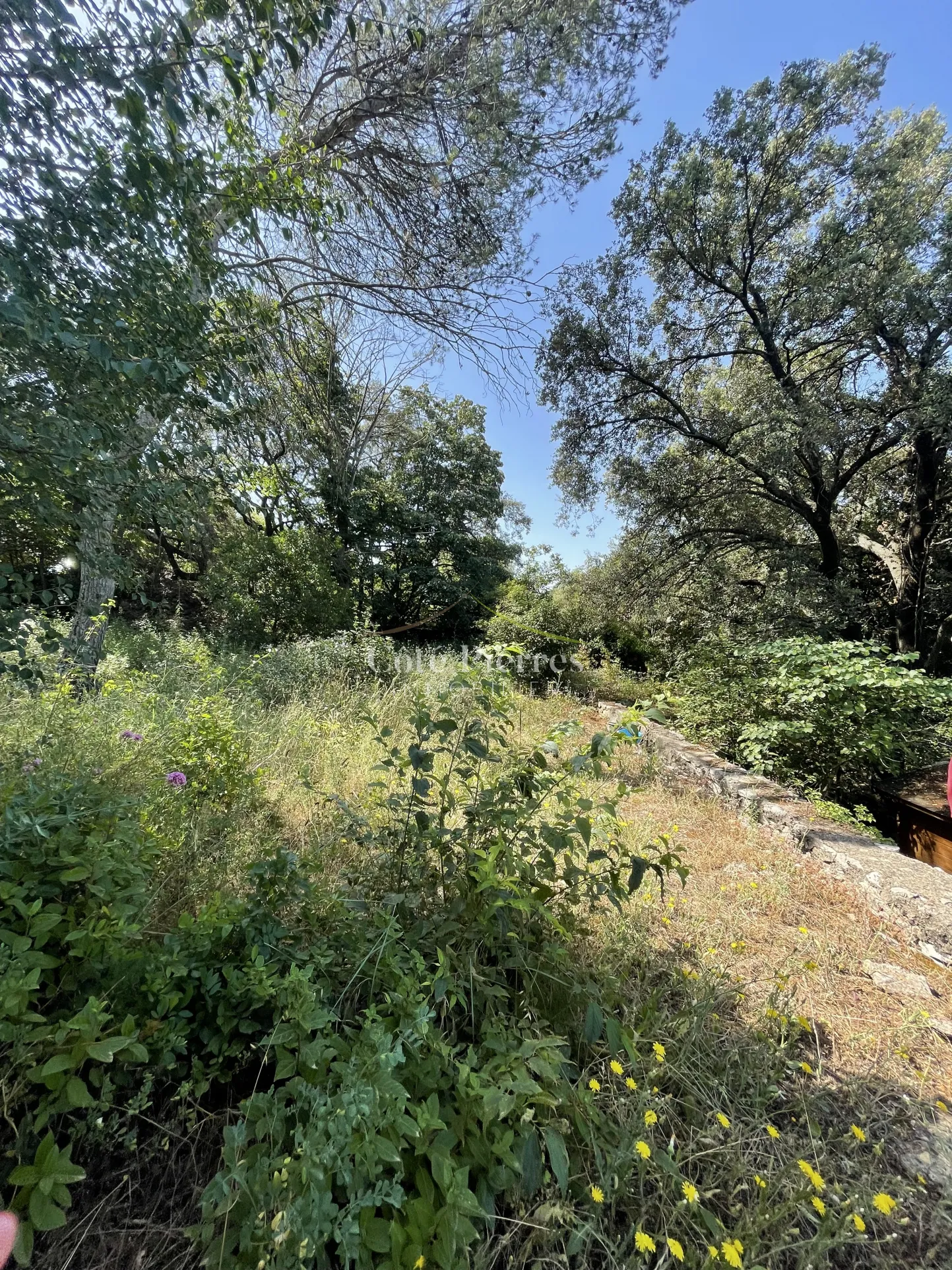 Vente terrain de loisir 1004 m² à Nîmes 