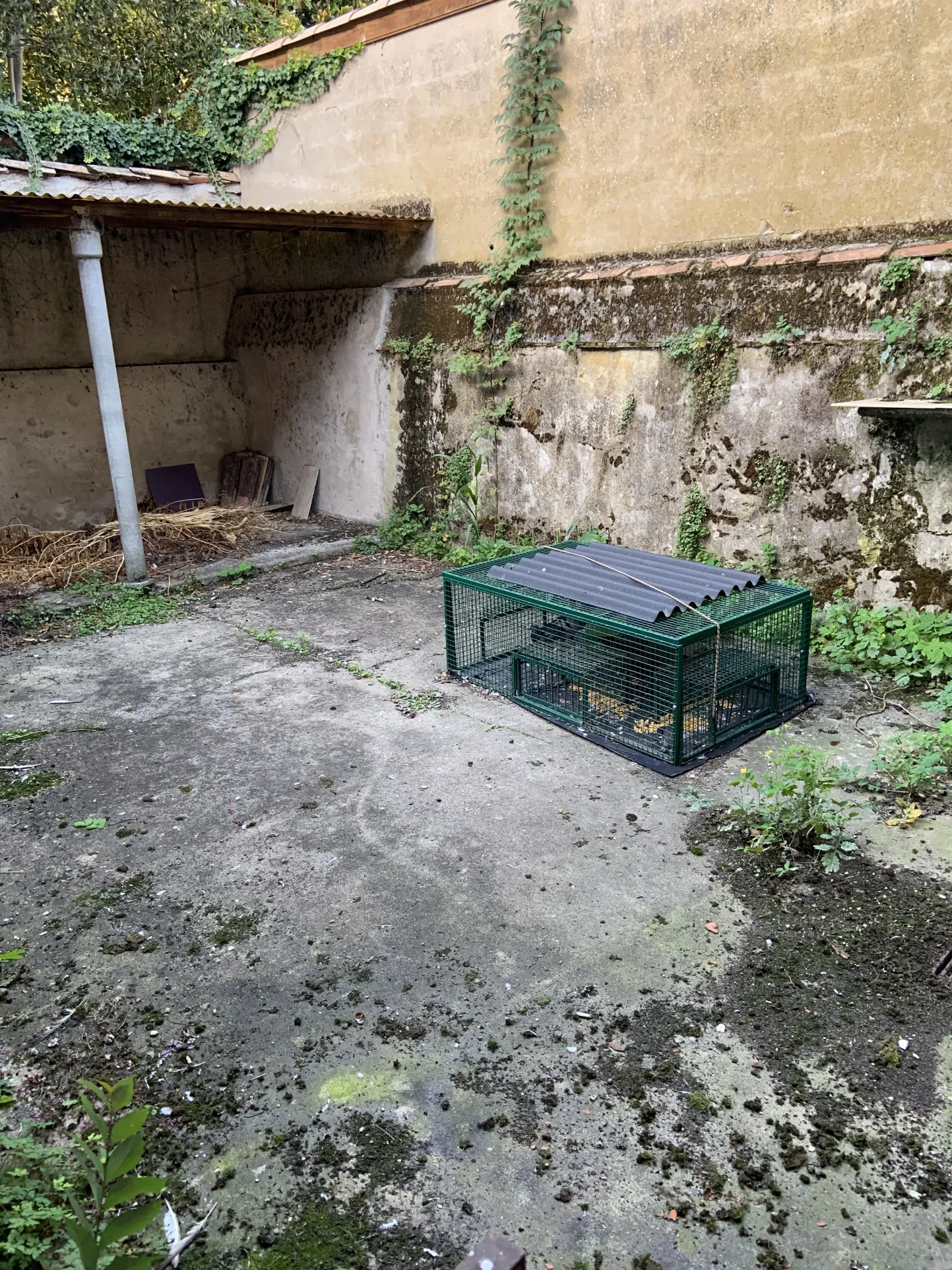 Immeuble à vendre au centre de Marmande (47200) 